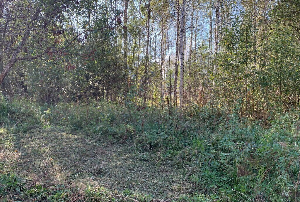 дом городской округ Сергиево-Посадский д Хребтово снт Меркурий-3 фото 21