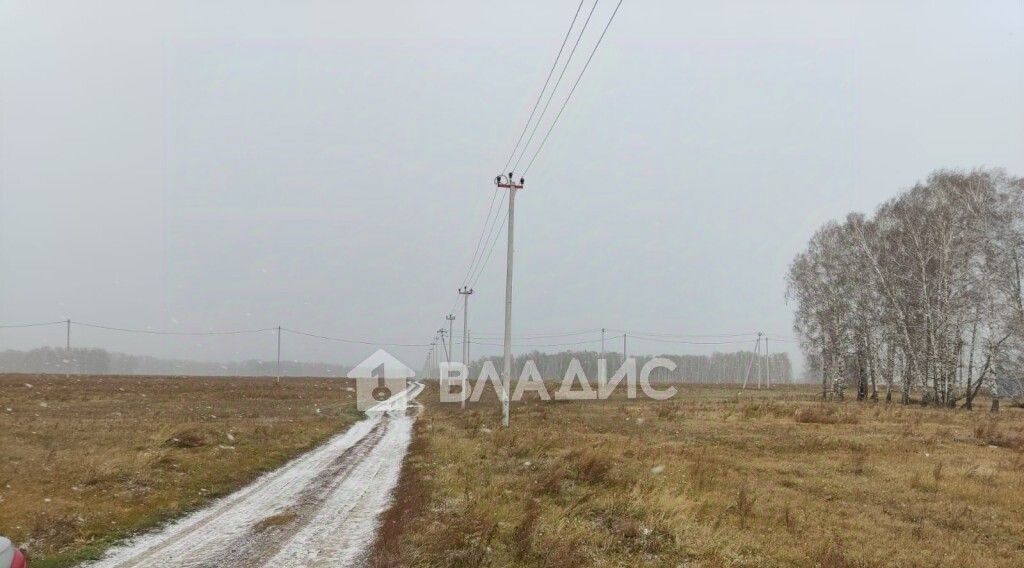 земля р-н Ордынский с Вагайцево ул Шукшина Вагайцевский сельсовет фото 5