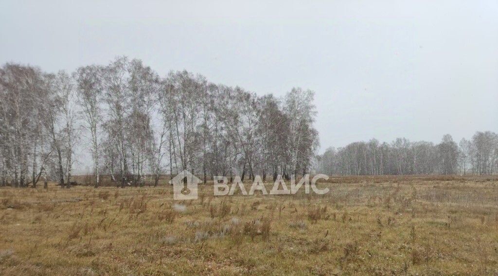 земля р-н Ордынский с Вагайцево ул Шукшина Вагайцевский сельсовет фото 7