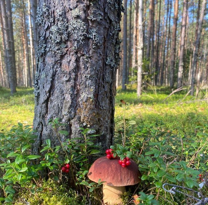 дом городской округ Одинцовский с Ершово ГП-1 тер фото 44