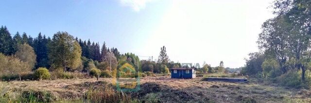 проезд 7-й Серебристый Рощинское городское поселение фото