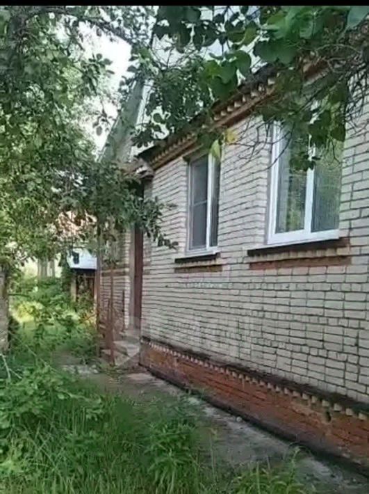 дом городской округ Павловский Посад д Дальняя снт Росинка 46 фото 3