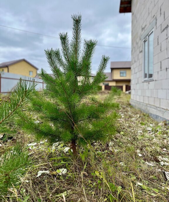 дом р-н Белоярский коттеджный посёлок Новокосулино, улица 2-я Линия-А, 3, Белоярский городской округ фото 9