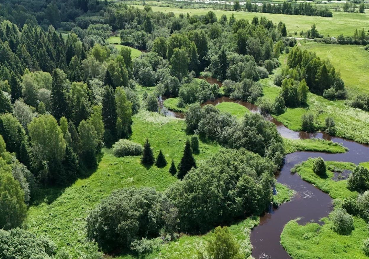 земля городской округ Солнечногорск рп Менделеево 9750 км, территория СНТ Искра, 114, д. Никольское, г. о. Солнечногорск, Ленинградское шоссе фото 9