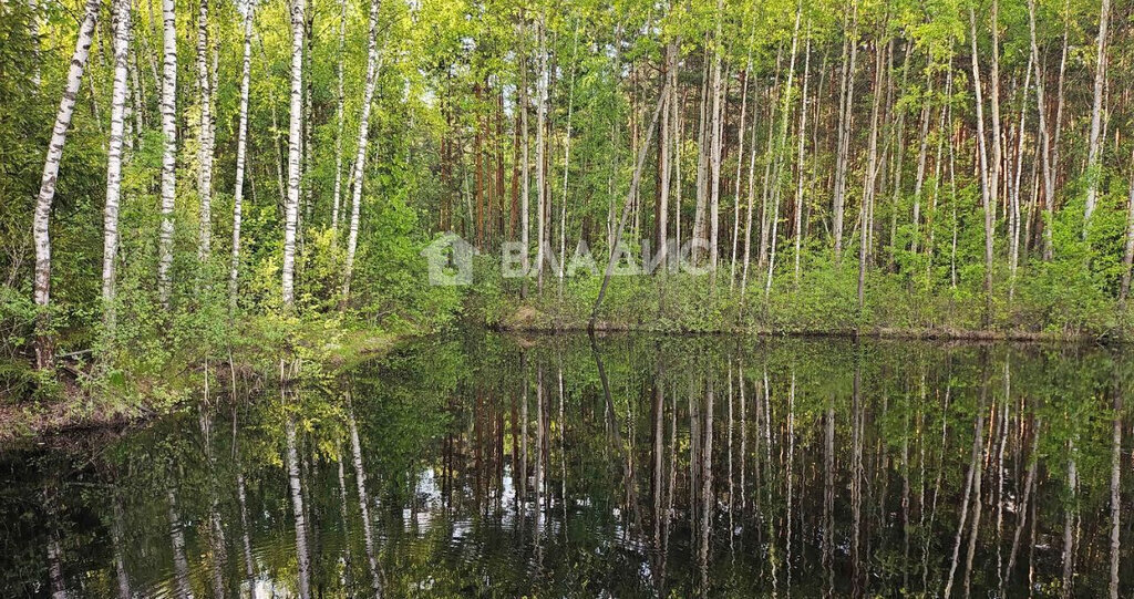 земля городской округ Раменский с Зюзино ул Княжеская Удельная фото 1