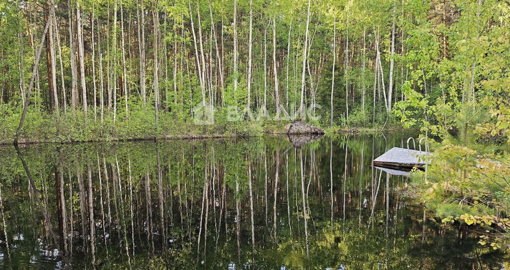 земля городской округ Раменский с Зюзино ул Княжеская Удельная фото 10