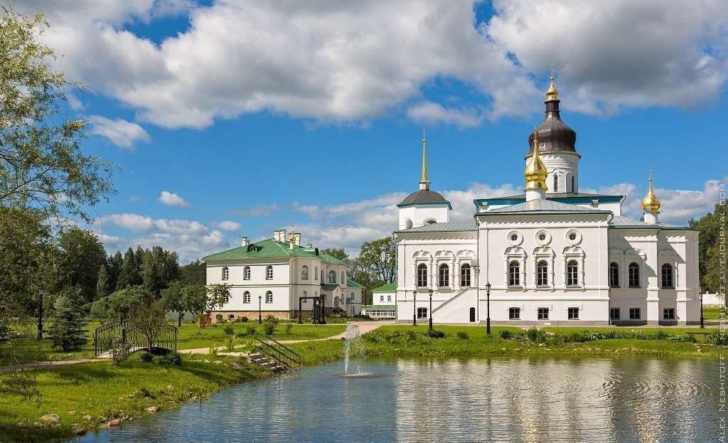 земля р-н Псковский д Новое Поле Середка, Серёдкинская волость фото 8