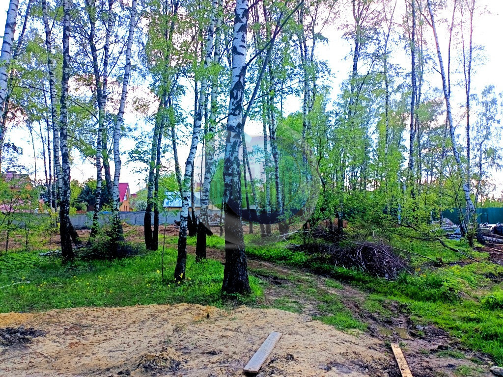 земля городской округ Ленинский д Мисайлово Домодедовская, Каширское шоссе фото 5