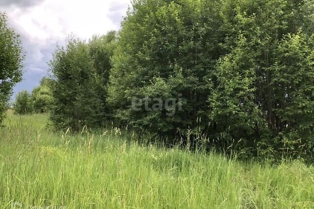 городской округ Коломна, деревня Борисовское фото