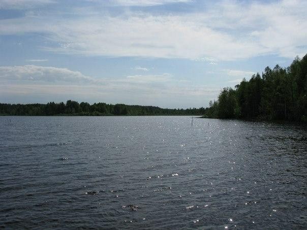 земля р-н Приозерский ДНП Раздолье фото 1