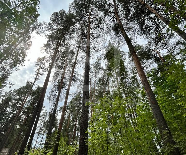 земля р-н Всеволожский г Всеволожск ул Гоголя Всеволожское городское поселение фото 5