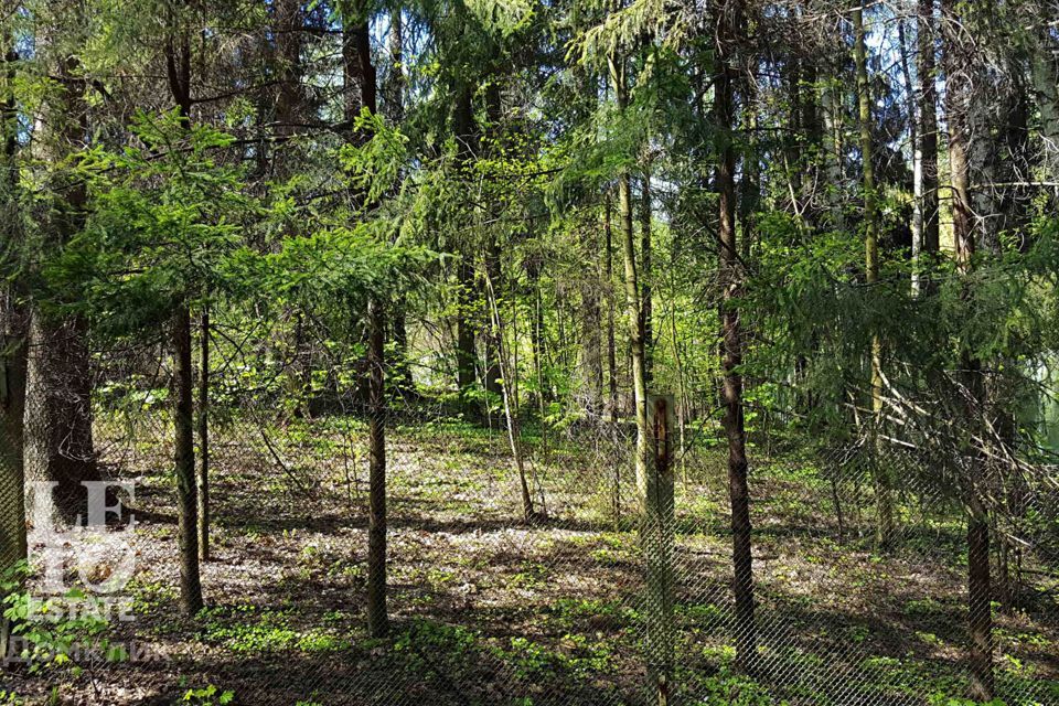 земля городской округ Мытищи посёлок Трудовая фото 10