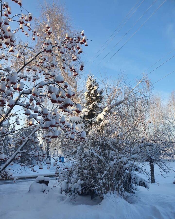 дом г Минусинск ул Дружбы Народов 15 фото 10