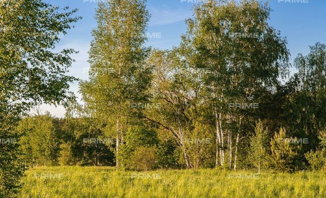 земля 9742 км, территория Дарьино-Успенское, Красногорск, Рублёво-Успенское шоссе фото