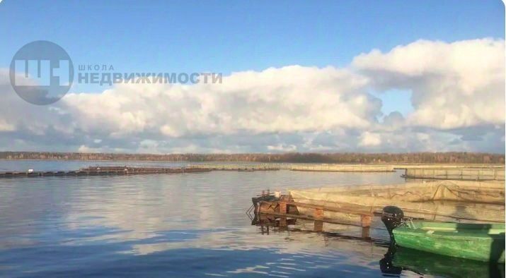 земля р-н Приозерский д Удальцово с пос, Запорожское фото 8