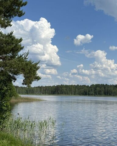 рп Крестцы Новорахинское сельское поселение фото