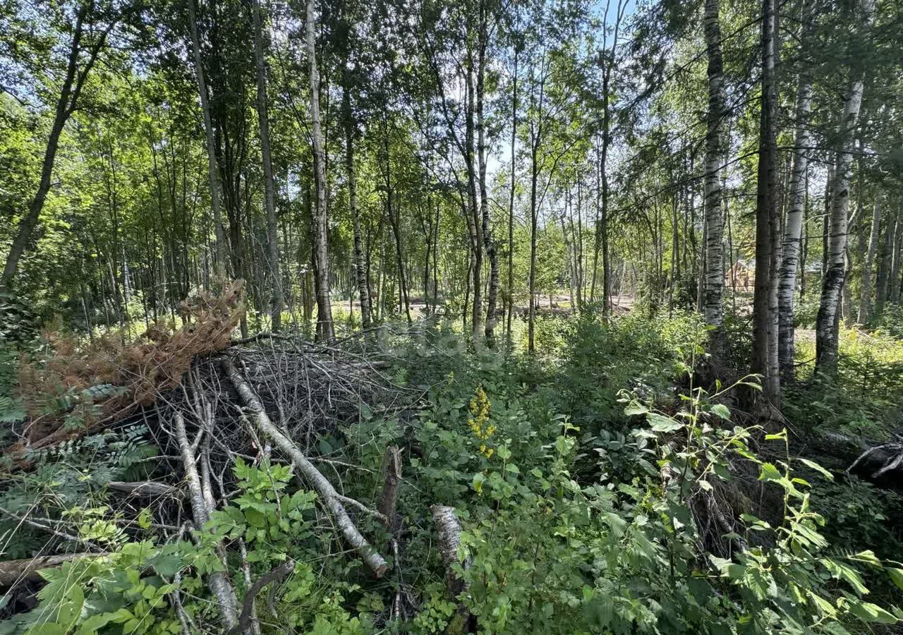 земля р-н Приозерский п Сосново Трасса Сортавала, 9770 км, Сосновское сельское поселение, коттеджный пос. Ламполово, 50 фото 6