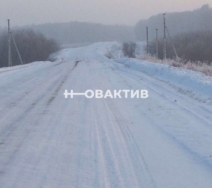 земля р-н Мошковский село Томилово фото 7