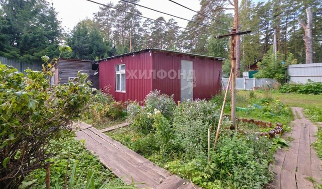 г Томск р-н Кировский посёлок Басандайка пер 1-й Басандайский фото