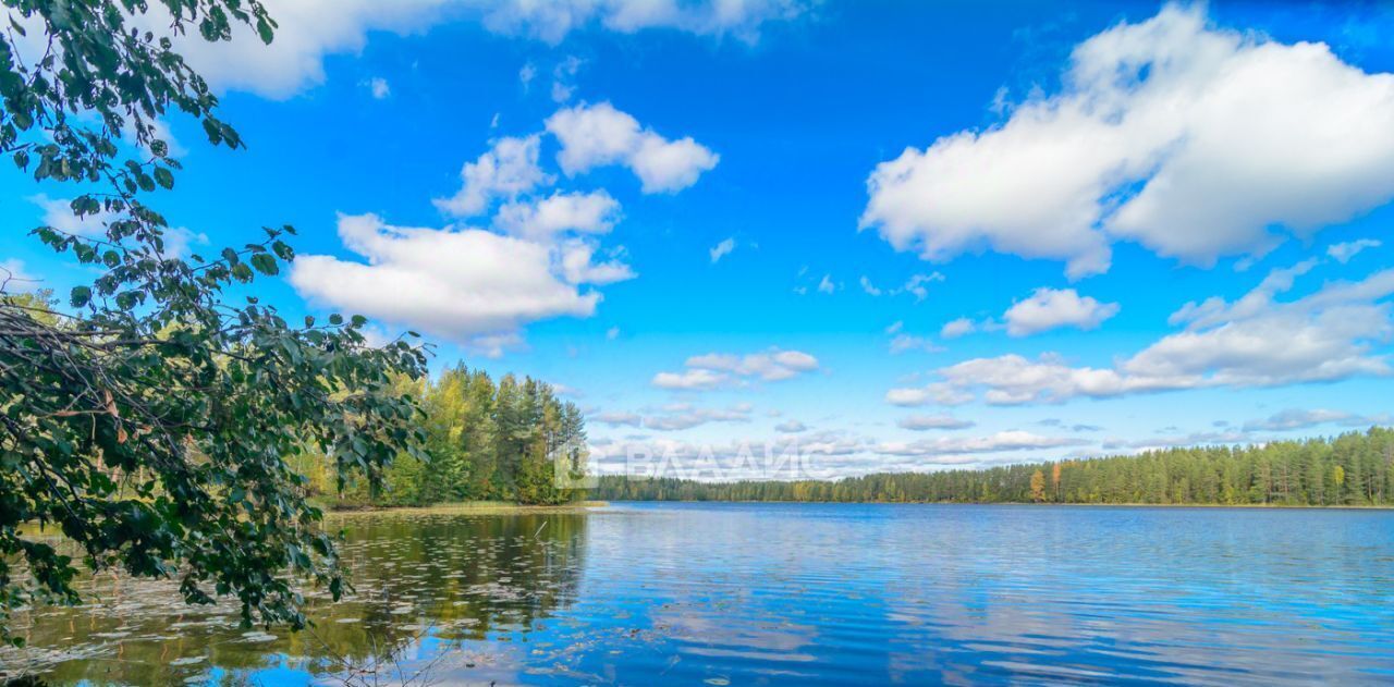 дом р-н Беломорский п Хвойный Пряжинское городское поселение фото 15