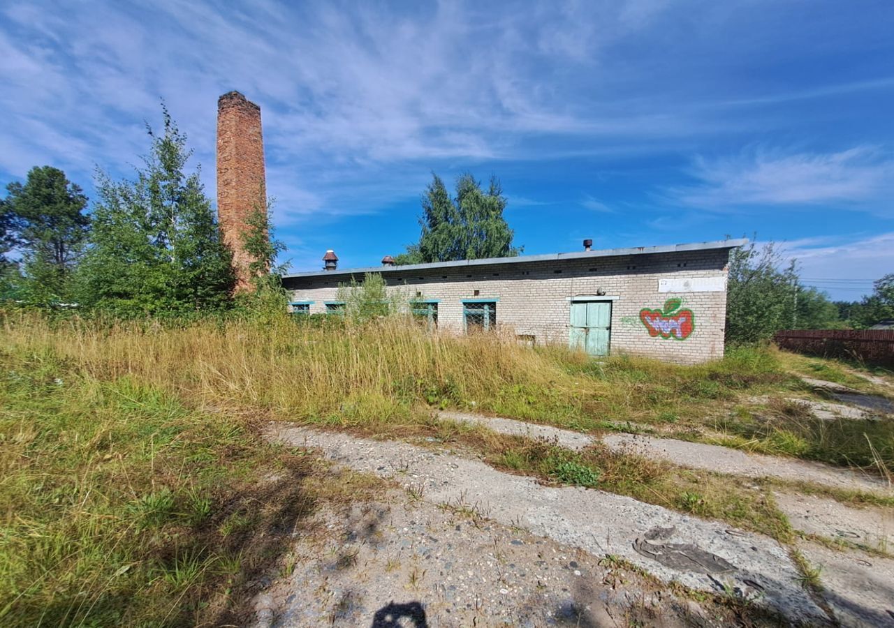 свободного назначения р-н Виноградовский п Березник ул. Романа Куликова, 5 фото 1