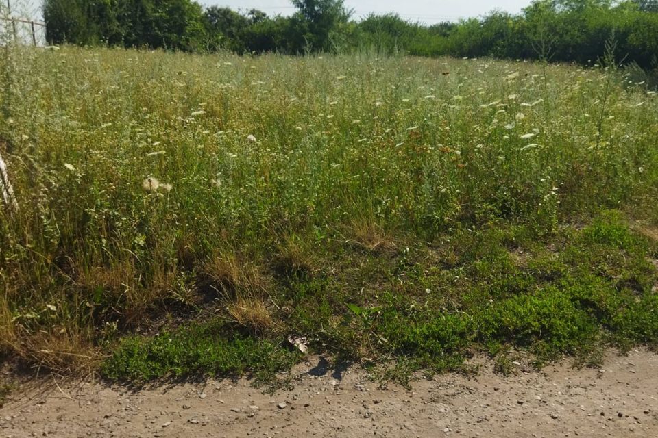 земля р-н Белгородский село Устинка фото 6