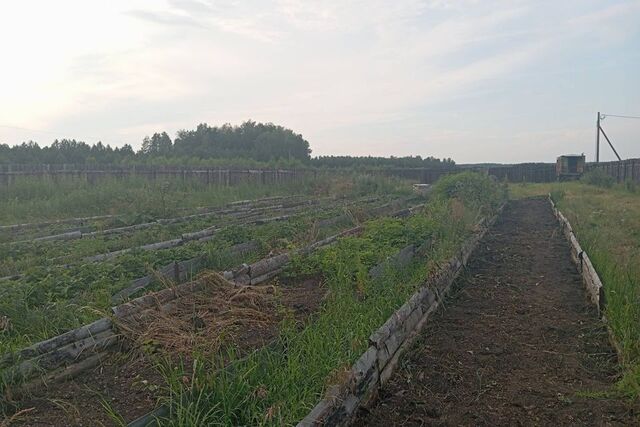 земля село Никольское фото