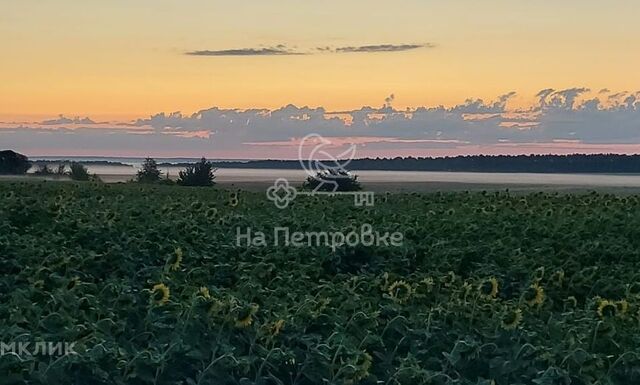 земля д Григорьевское ул Центральная фото