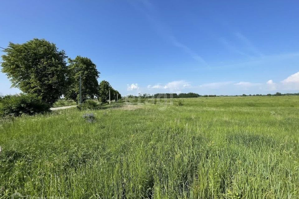 земля р-н Багратионовский г Багратионовск фото 1