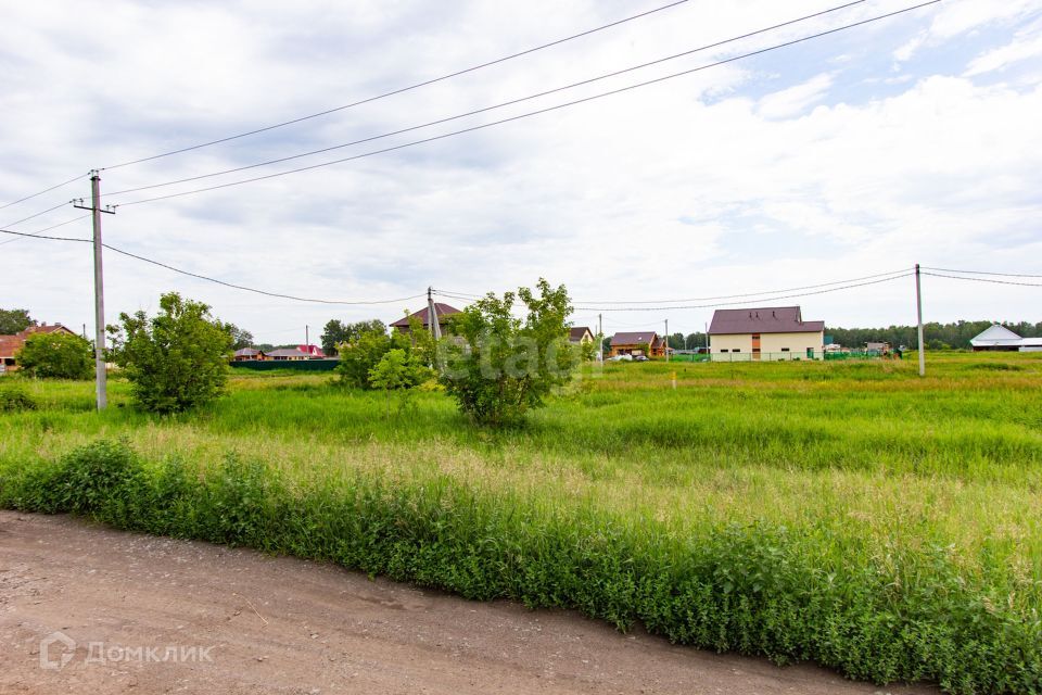 земля р-н Новосибирский ДНТ Берёзка фото 3