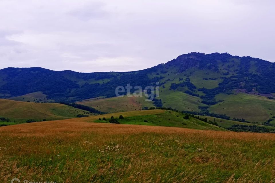 земля р-н Алтайский село Ая фото 4