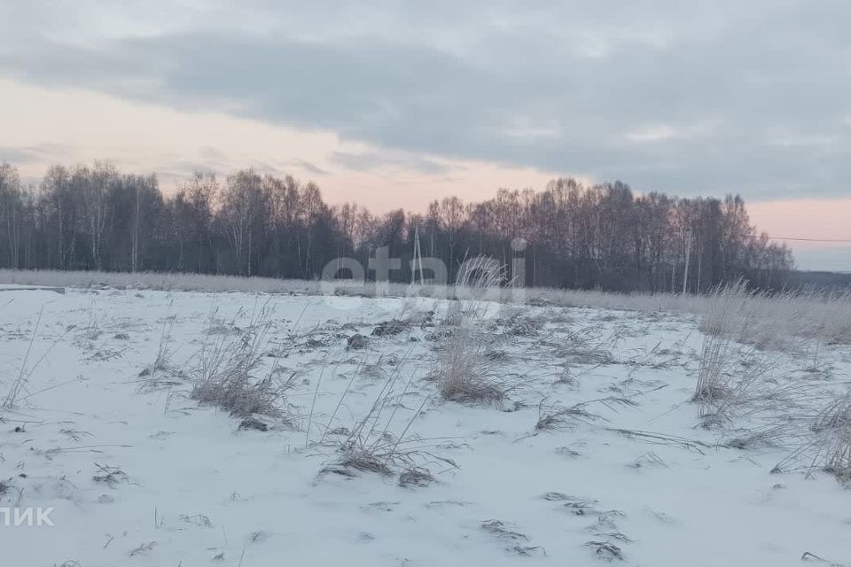 земля р-н Прокопьевский Кемеровская область — Кузбасс, посёлок Свободный фото 7