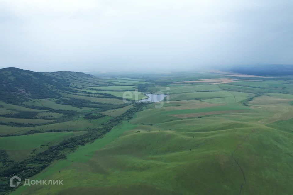 земля р-н Алтайский село Ая фото 7