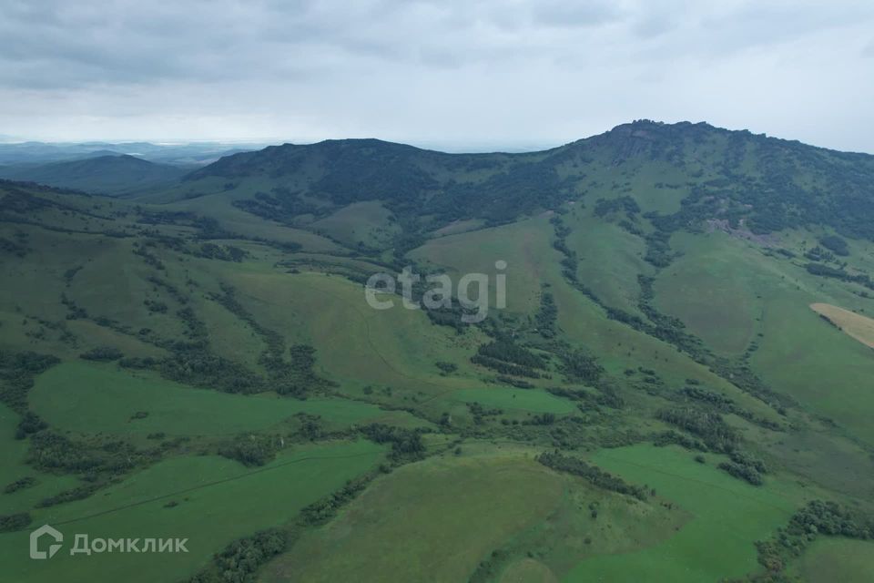 земля р-н Алтайский село Ая фото 6