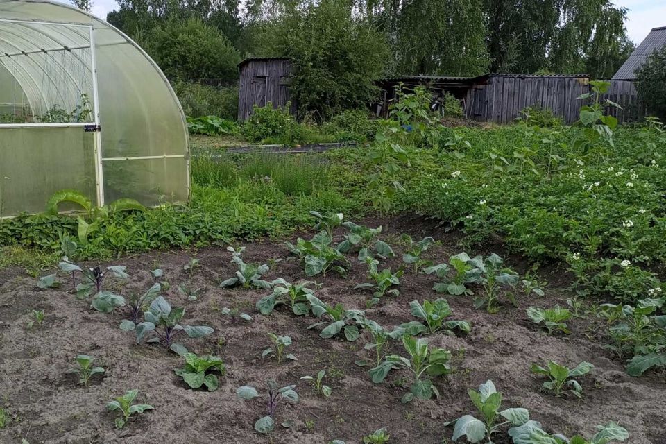 дом р-н Усольский п Раздолье ул Восточная 1 фото 8