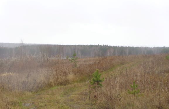 земля р-н Пригородный п Горноуральский Петрокаменское фото 14