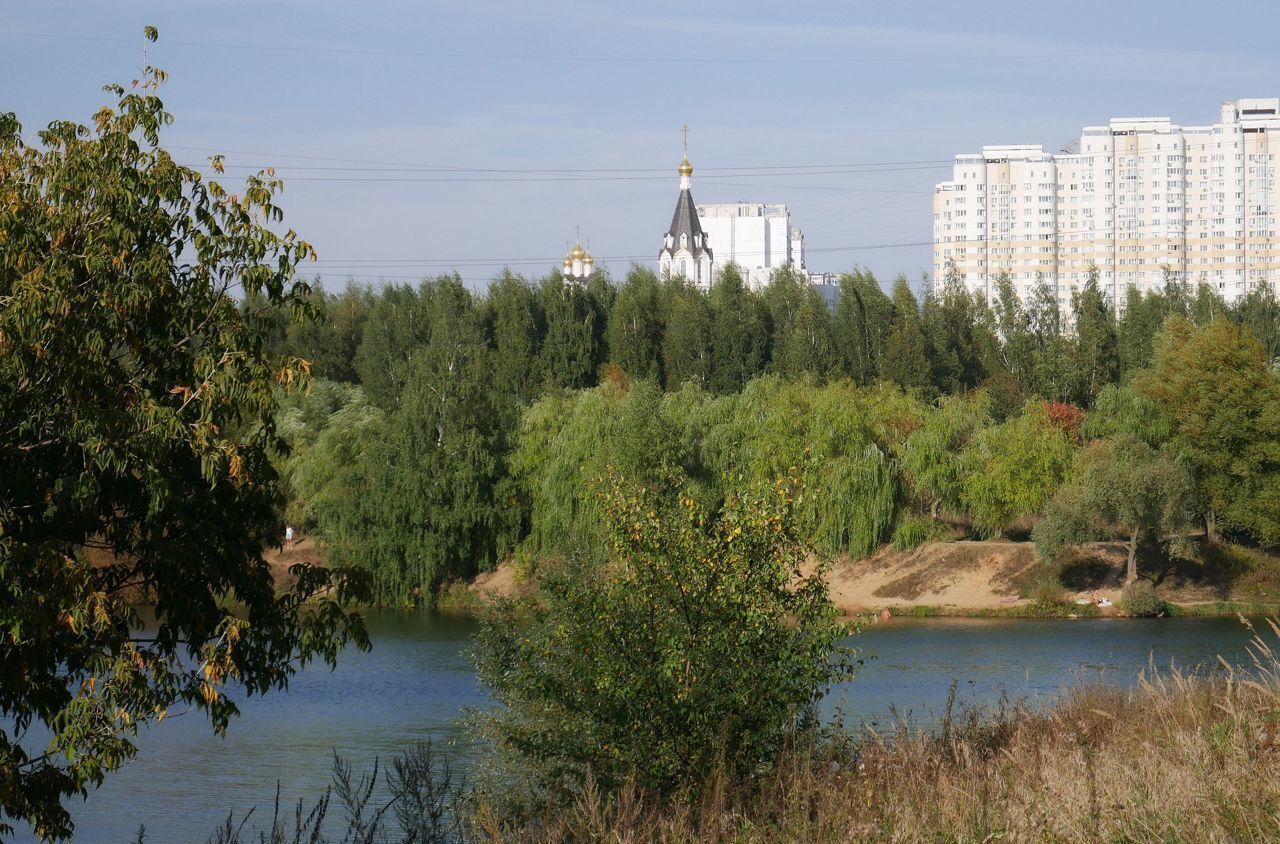 квартира г Москва метро Митино ул Дубравная 40 муниципальный округ Митино фото 36