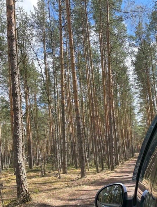 офис городской округ Шатура д Лемёшино 14 фото 1