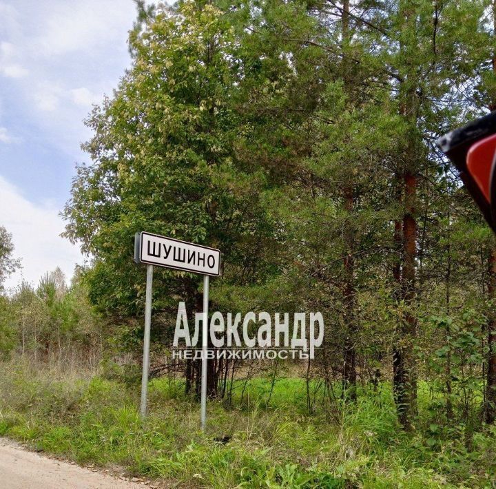 земля р-н Приозерский п Шушино ул Центральная Севастьяновское с/пос, Парнас фото 4