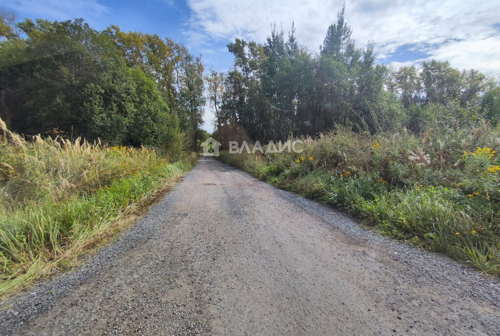 земля городской округ Раменский Бубновский проезд фото 2