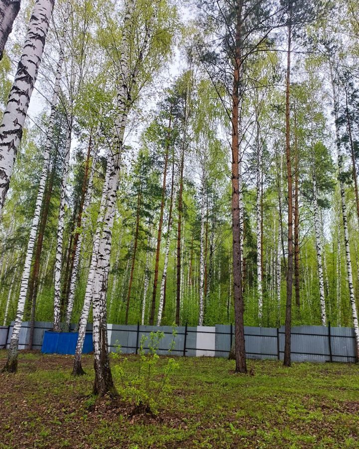 свободного назначения р-н Тукаевский Малошильнинское сельское поселение, Боровецкий лес 3, Набережные Челны фото 13