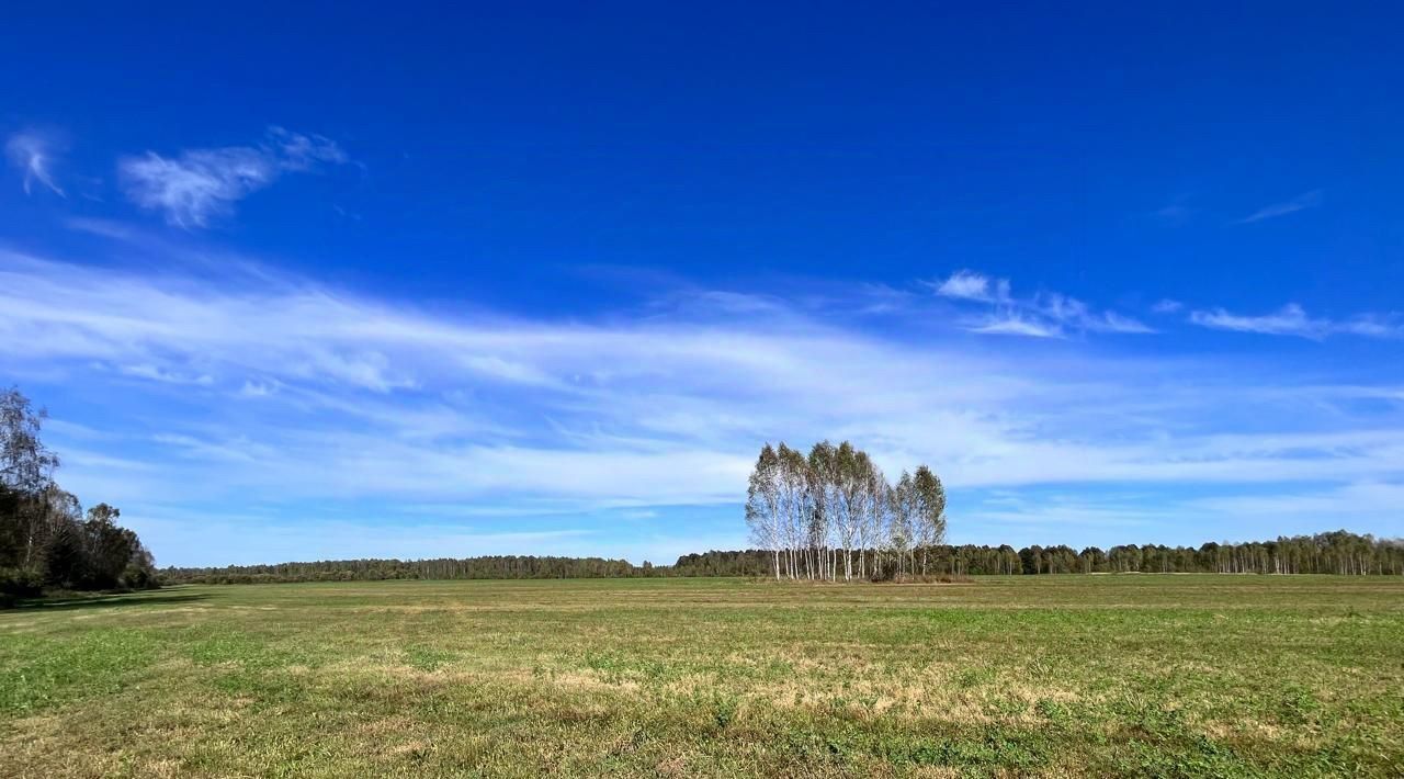 земля р-н Барятинский с Сильковичи ул Центральная 7 фото 3