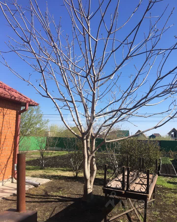 дом г Тюмень р-н Центральный ул Нижневартовская фото 17