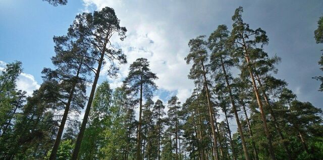 земля ул 10-ая Парковая загородный комплекс Лайф тер. фото