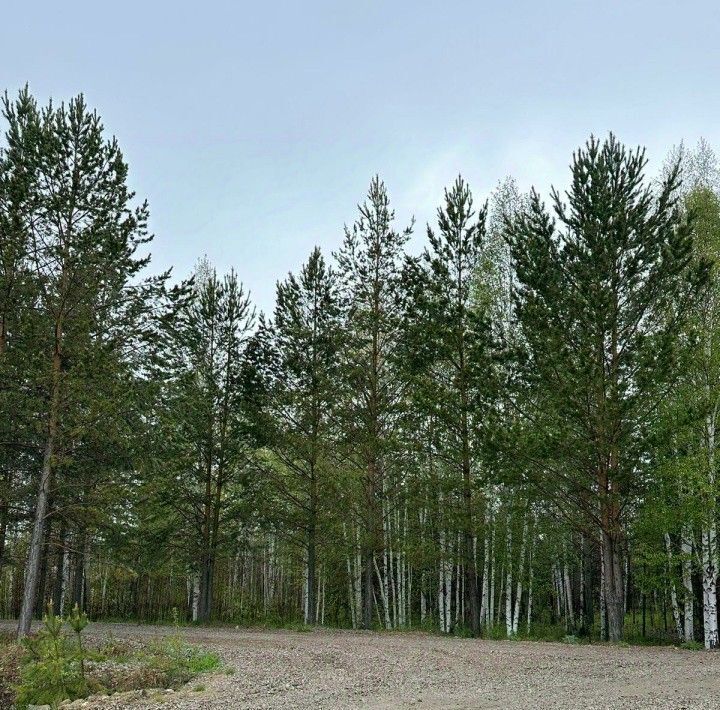 земля р-н Белоярский п Гагарский ул 3-я Парковая загородный комплекс Лайф тер. фото 3