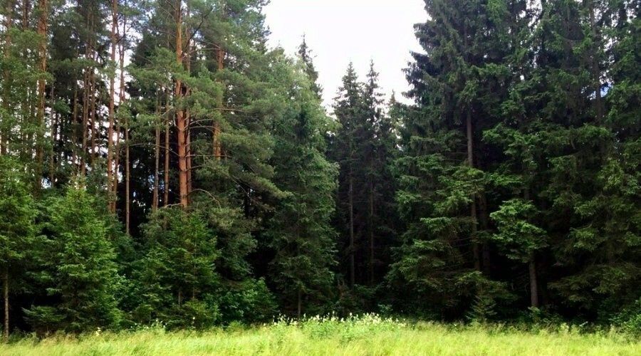 дом р-н Белоярский п Гагарский ул Центральная Парковая загородный комплекс Лайф тер. фото 5