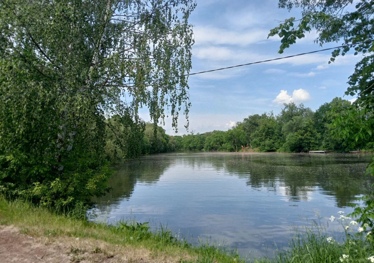 дом городской округ Коломенский с Непецино 9475 км, 49, Воскресенск, г. о. Коломна, Новорязанское шоссе фото 14