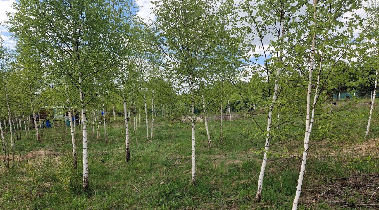 земля р-н Тарусский д Похвиснево с пос, Заречье-3 кп, 1060 фото 2