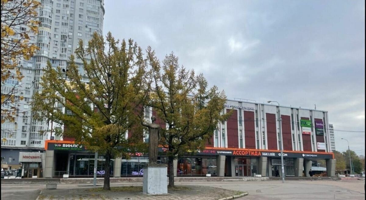 торговое помещение г Москва метро Юго-Западная пр-кт Вернадского 105к/4 муниципальный округ Тропарёво-Никулино фото 3