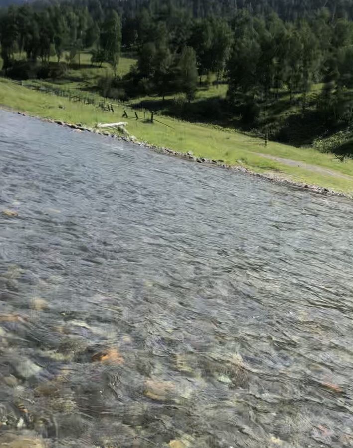 земля р-н Чемальский с Уожан ул Заречная Онгудай фото 9